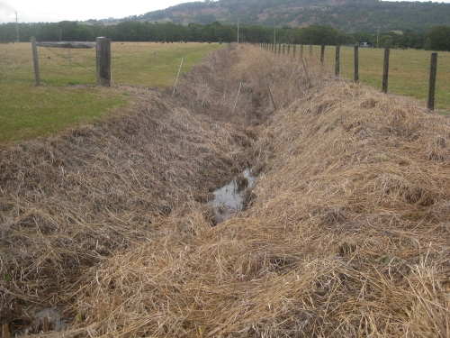 example-of-drain-herbicide-use-left-bank-road
