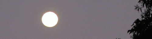 cropped-super-moon-sunday-7-pm.gif